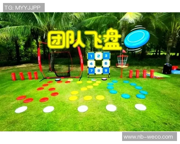 飞盘飞扬：重庆飞盘队成长历程的真实记录与感人故事