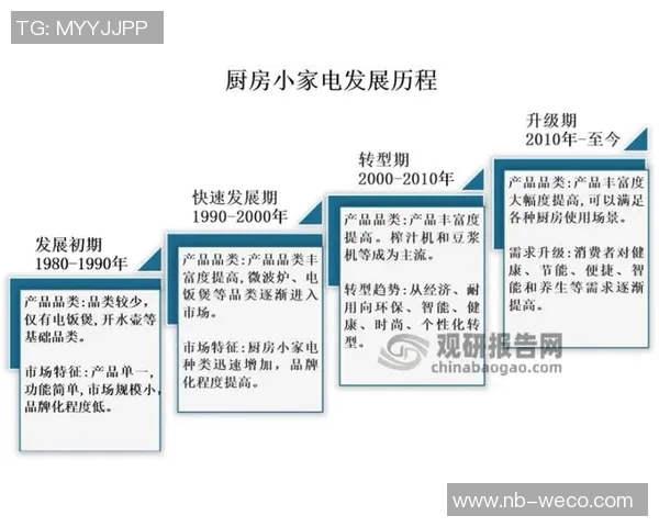 中国乒乓球运动员的奋斗历程与未来发展趋势分析